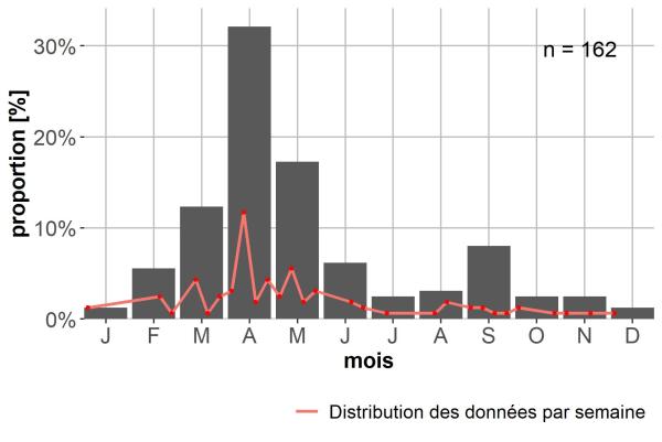 Carabidés –&nbsp;Platyderus depressus –&nbsp;phénologie
