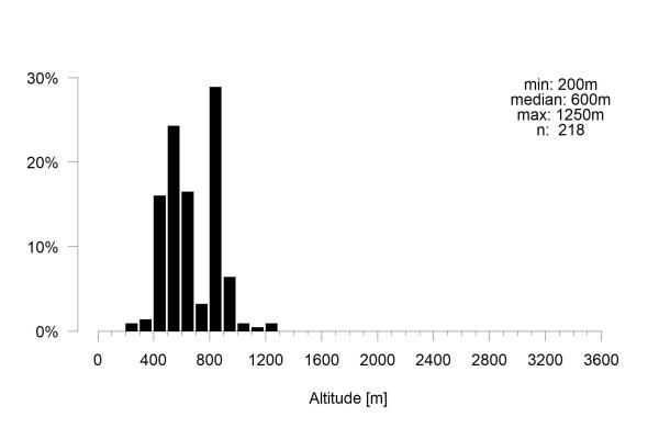 Les abeilles sauvages de Suisse Lasioglosse pygmée - Lasioglossum pygmaeum