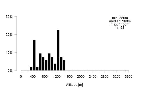 Les abeilles sauvages de Suisse Lasioglosse de l'Asperge, Lasioglosse cendré - Lasioglossum sexnotatum