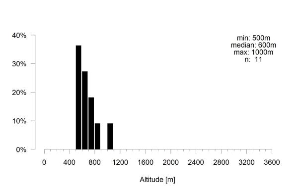 Les abeilles sauvages de Suisse Lasioglosse trois-dents - Lasioglossum transitorium