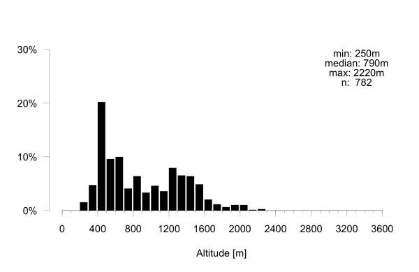 Les abeilles sauvages de Suisse Andrène de Wilke - Andrena wilkella