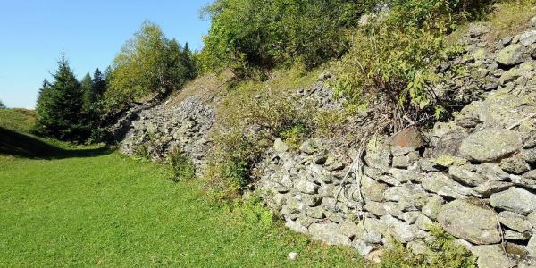 Mur de soutènement au bord d'une prairie extensive