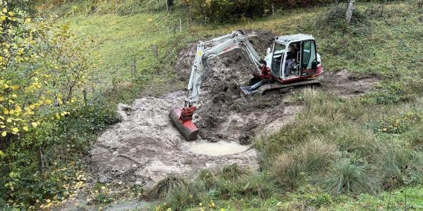 Une pelleteuse creuse un trou en lisière de forêt