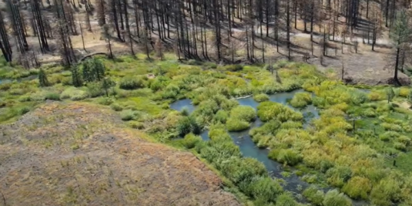 Paysage brulée avec des espaces verts et des plans d'eau au milieu