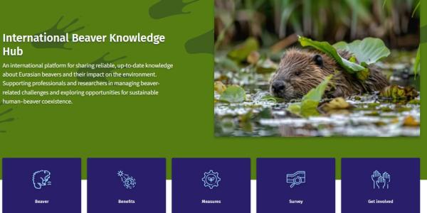 International Beaver Knowledge Hub